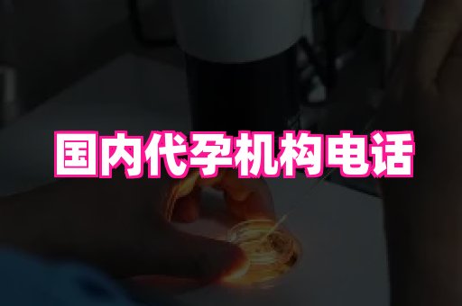 合肥助孕网站 4